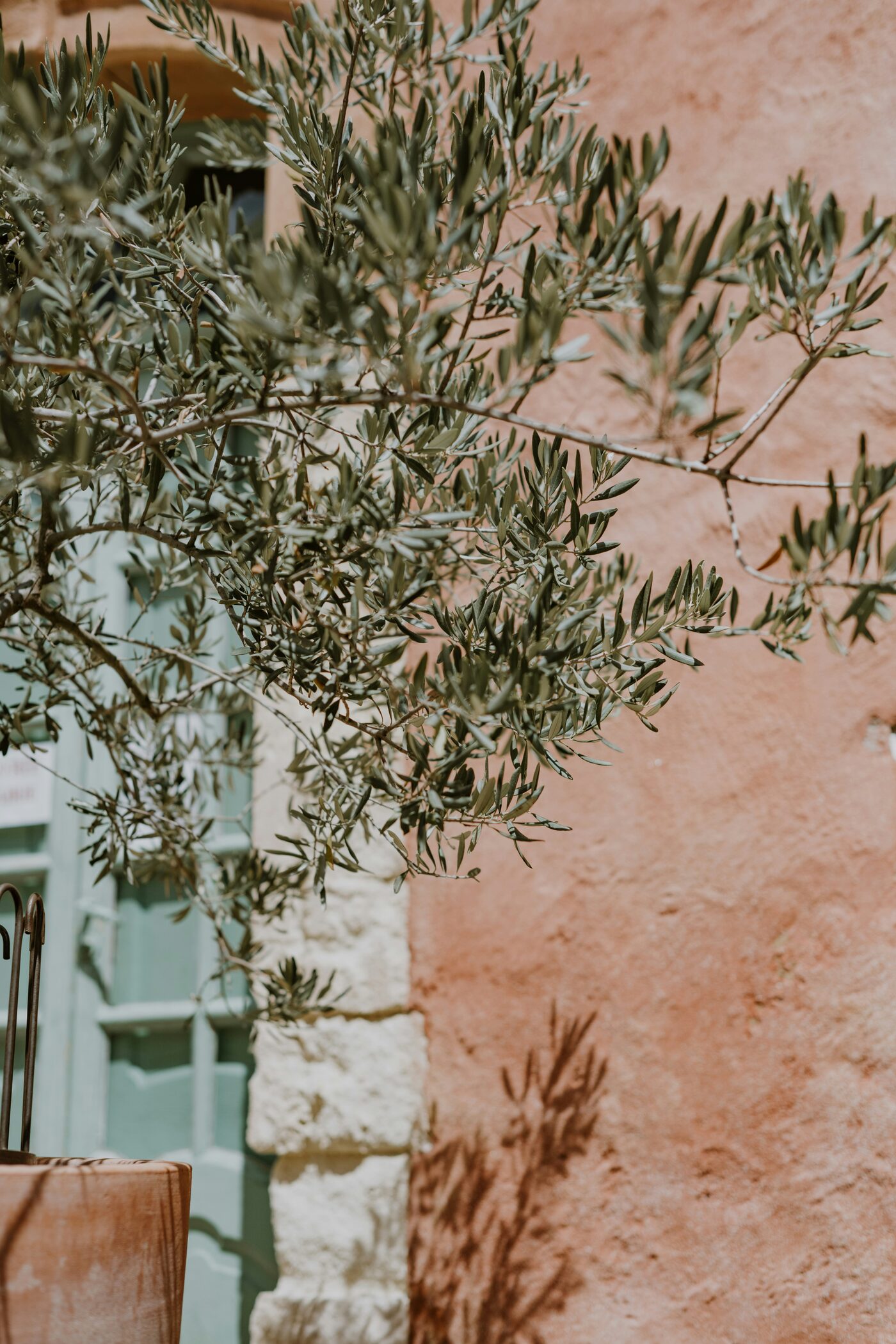 Sarena Atelier — story