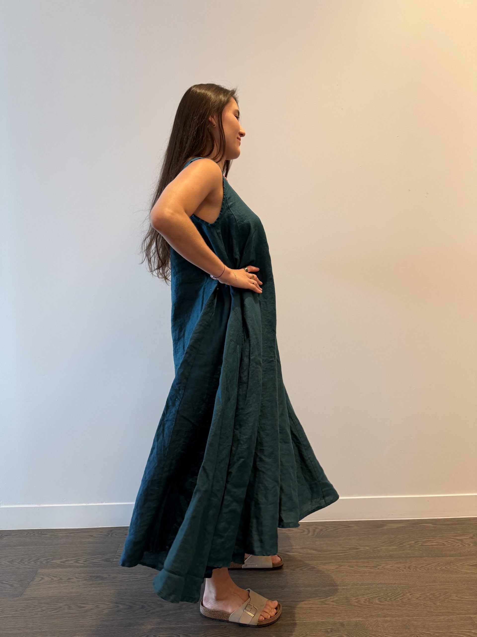 The SIRENA - Image 4