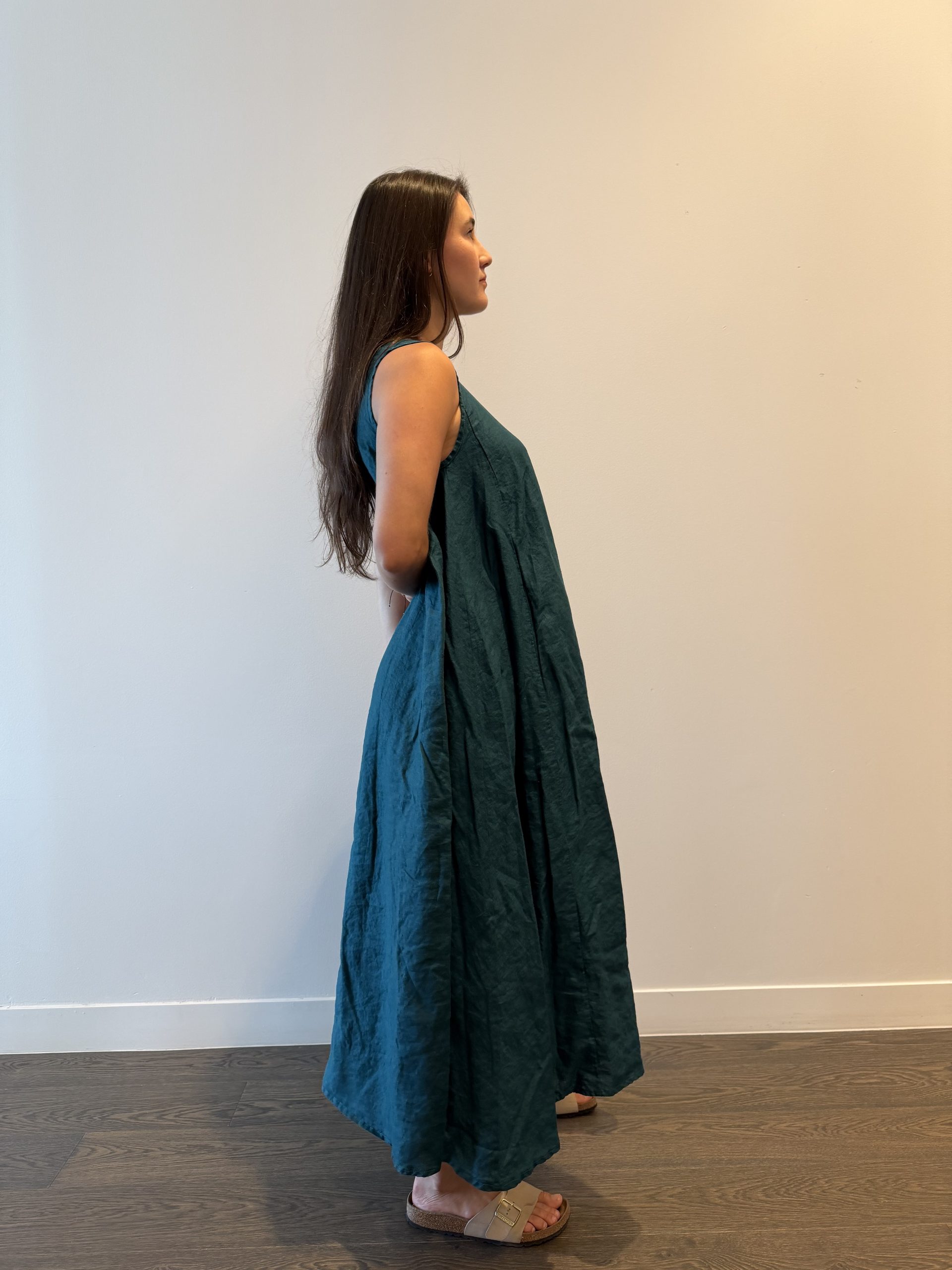 The SIRENA - Image 5